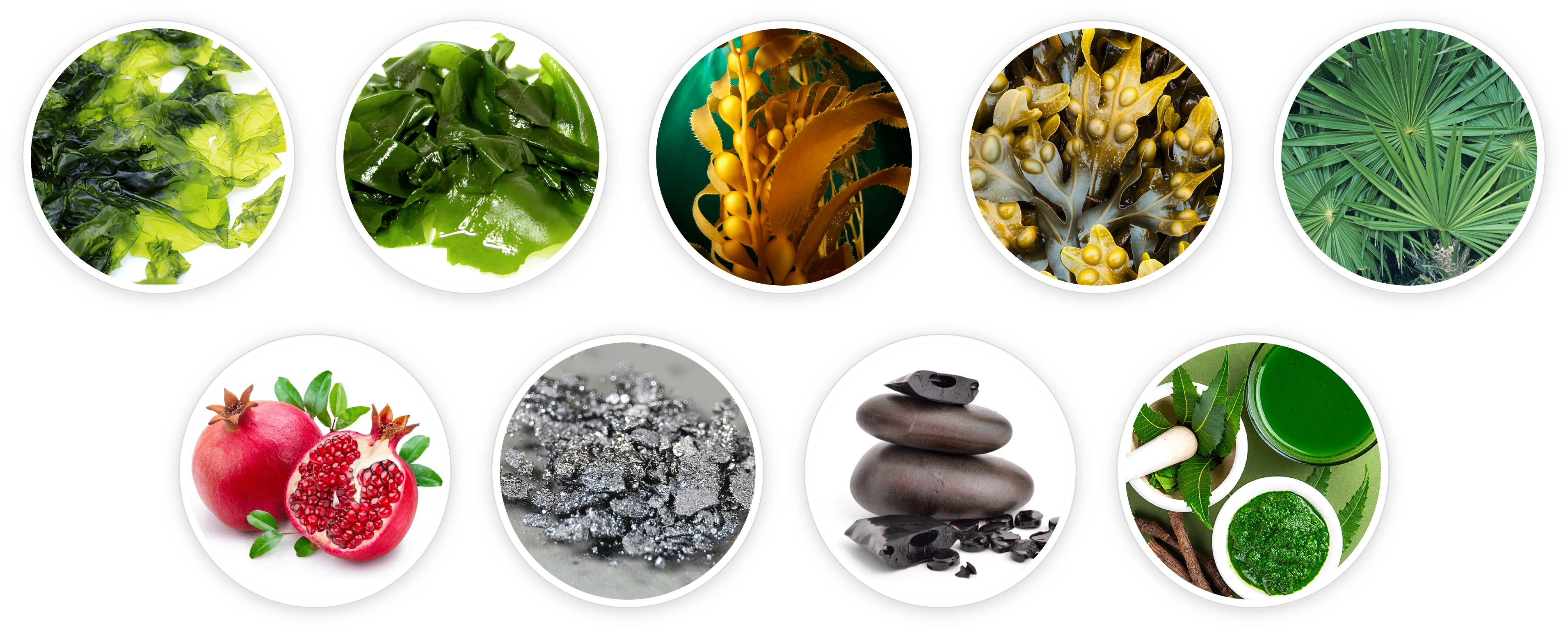 Prostadine ingredients